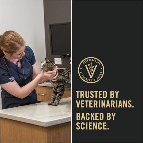 Purina Pro Plan LiveClear with Probiotics Allergen Reducing Sensitive Skin & Stomach Turkey & Rice Adult Dry Cat Food