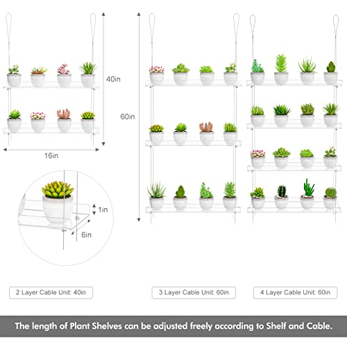 OtNiap Clear Hanging Window Plant Shelves 16inch,Indoor Windows Wall Hanging Plant Stand Flower Display,Flower Pot Organizer Storage for Window Grow Herbs,Microgreens,Succulents,Flower