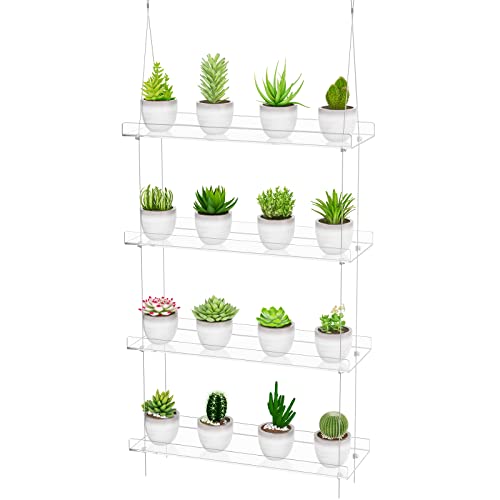 OtNiap Clear Hanging Window Plant Shelves 16inch,Indoor Windows Wall Hanging Plant Stand Flower Display,Flower Pot Organizer Storage for Window Grow Herbs,Microgreens,Succulents,Flower