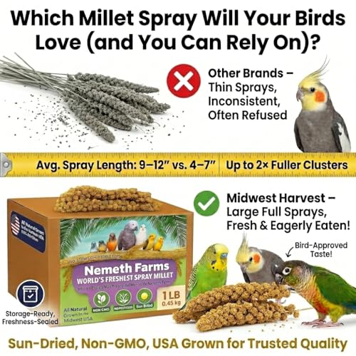 Nemeth Farms Spray Millet - Edible Tops Only, Non-GMO, Sun-Dried Natural Treat - Premium Millet Sprays for Parakeets, Budgies, Cockatiels, Lovebirds, Finches & Parrots