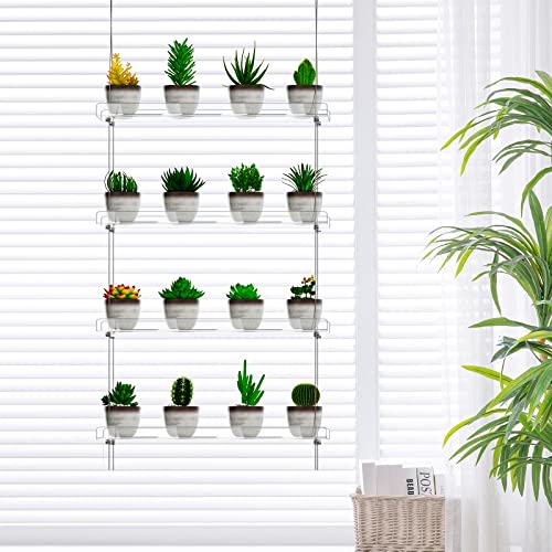 OtNiap Clear Hanging Window Plant Shelves 16inch,Indoor Windows Wall Hanging Plant Stand Flower Display,Flower Pot Organizer Storage for Window Grow Herbs,Microgreens,Succulents,Flower