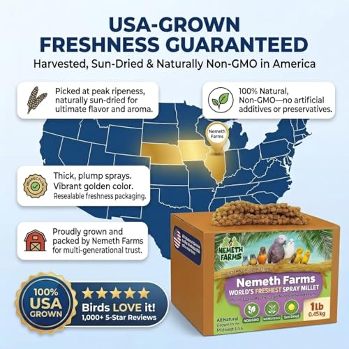 Nemeth Farms Spray Millet - Edible Tops Only, Non-GMO, Sun-Dried Natural Treat - Premium Millet Sprays for Parakeets, Budgies, Cockatiels, Lovebirds, Finches & Parrots