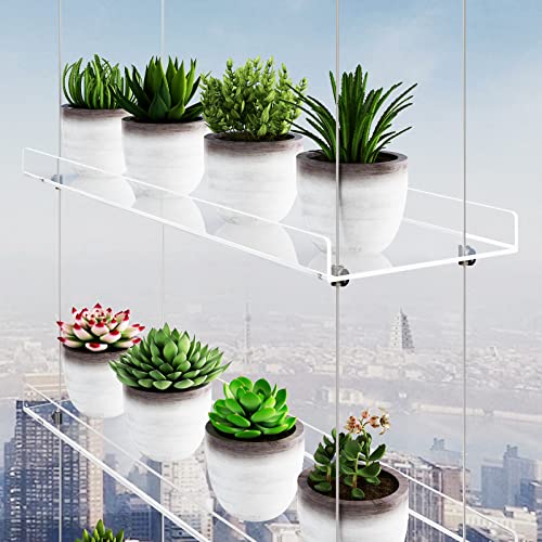 OtNiap Clear Hanging Window Plant Shelves 16inch,Indoor Windows Wall Hanging Plant Stand Flower Display,Flower Pot Organizer Storage for Window Grow Herbs,Microgreens,Succulents,Flower