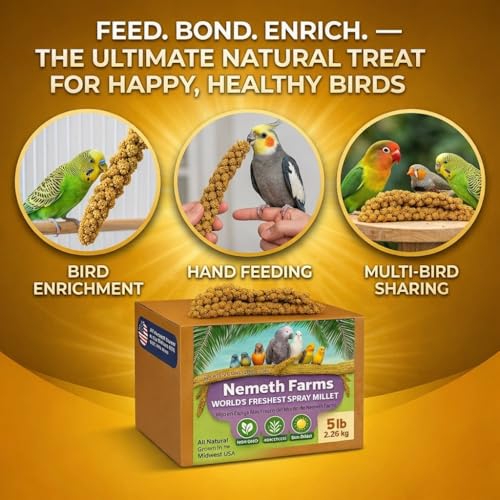 Nemeth Farms Spray Millet - Edible Tops Only, Non-GMO, Sun-Dried Natural Treat - Premium Millet Sprays for Parakeets, Budgies, Cockatiels, Lovebirds, Finches & Parrots