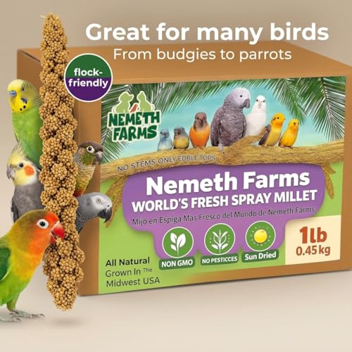 Nemeth Farms Spray Millet - Edible Tops Only, Non-GMO, Sun-Dried Natural Treat - Premium Millet Sprays for Parakeets, Budgies, Cockatiels, Lovebirds, Finches & Parrots