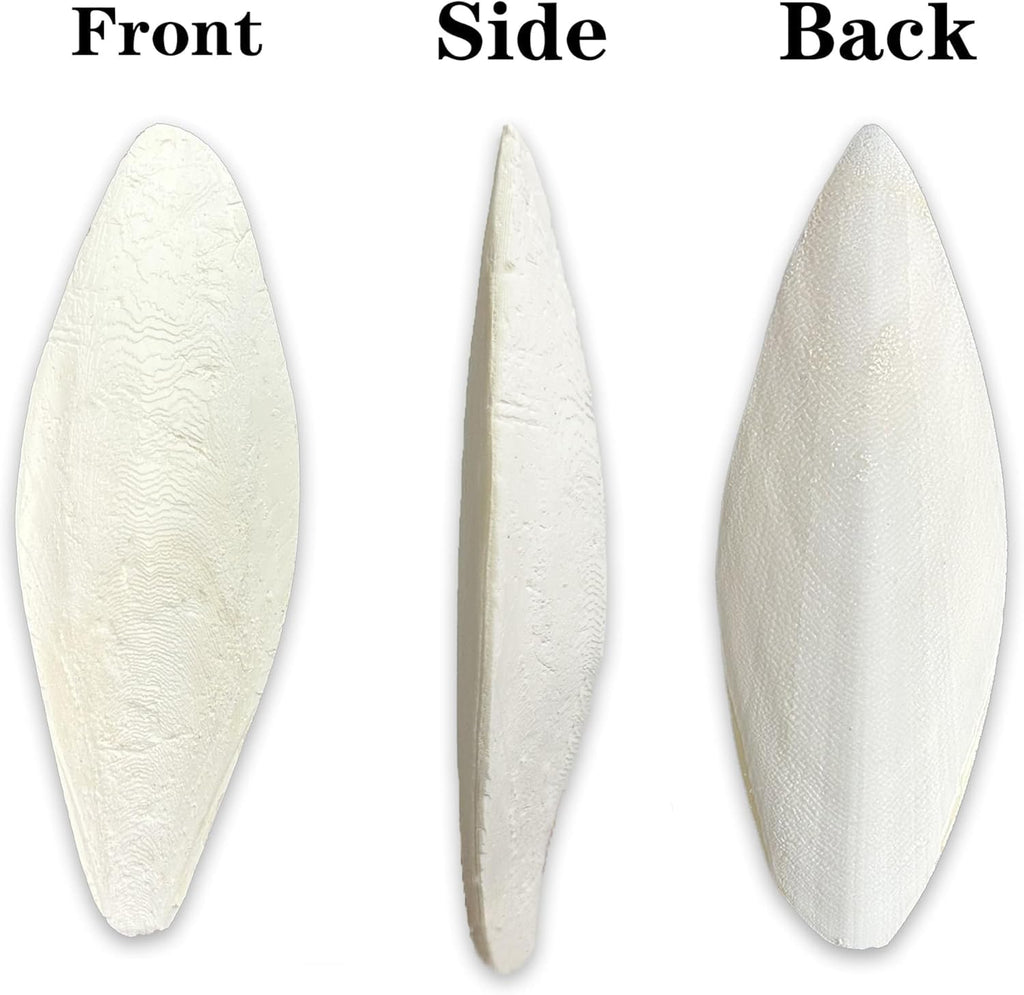 Clyairmao Bird Cuttlebone for Parakeets Cuttlebone for Birds - 100% Natural Cuttlefish Bone Bulk Chew Toy Bird Bites Calcium Stone for Canaries Tortoises,Snails,Reptiles,Parrots,Cockatiel