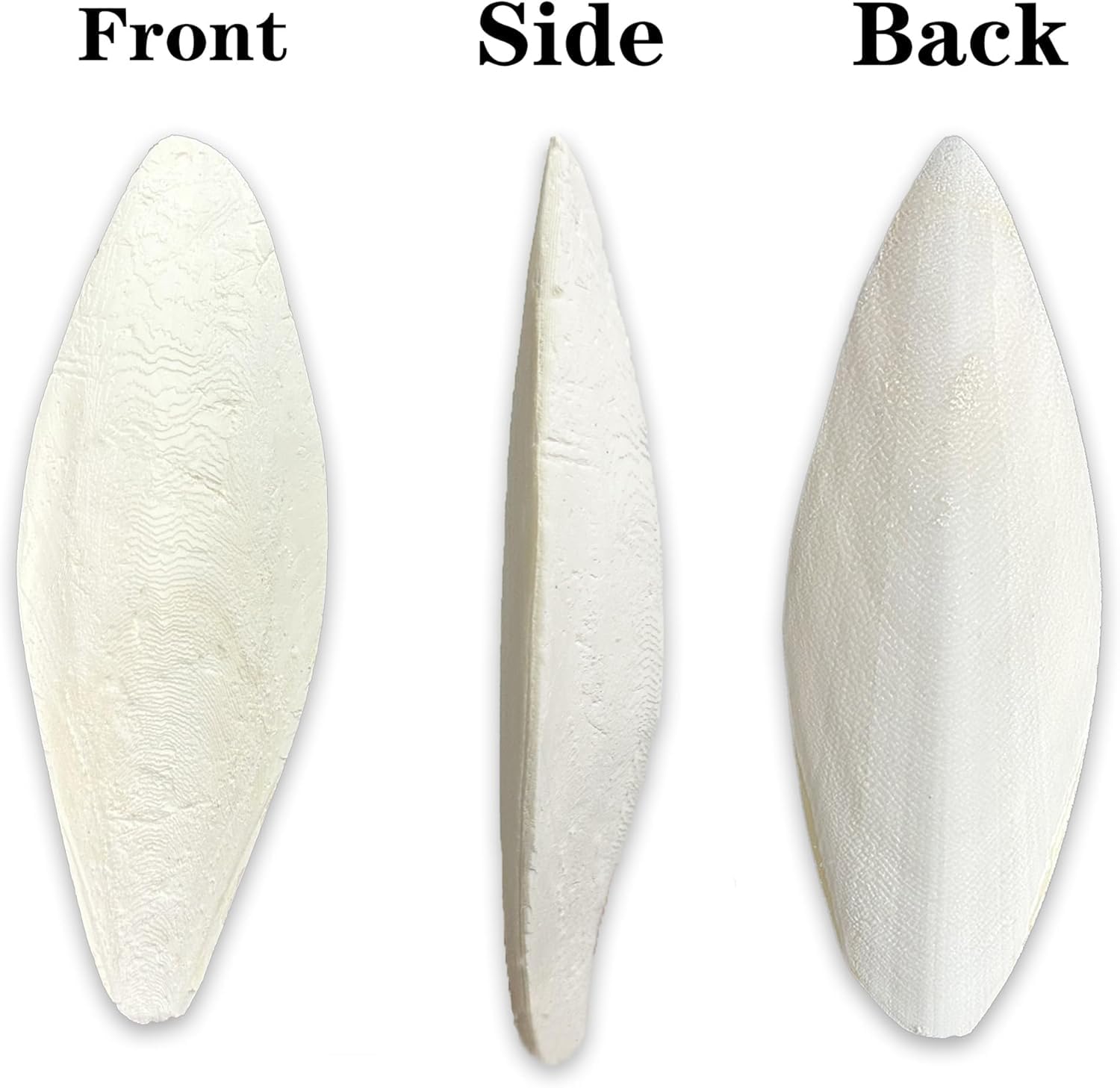 Clyairmao Bird Cuttlebone for Parakeets Cuttlebone for Birds - 100% Natural Cuttlefish Bone Bulk Chew Toy Bird Bites Calcium Stone for Canaries Tortoises,Snails,Reptiles,Parrots,Cockatiel
