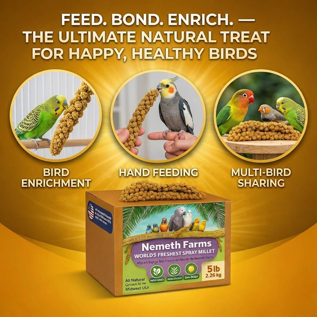 Nemeth Farms Spray Millet - Edible Tops Only, Non-GMO, Sun-Dried Natural Treat - Premium Millet Sprays for Parakeets, Budgies, Cockatiels, Lovebirds, Finches & Parrots