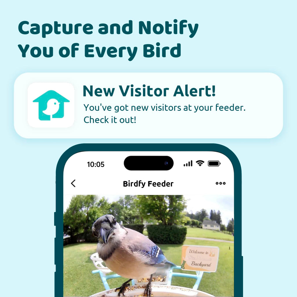NETVUE by Birdfy Smart Bird Feeder with AI Camera, Auto Capture Videos & Live Steam, Wireless Wildbird Watching, Outdoor Backyard Birder(AI by Subscription)