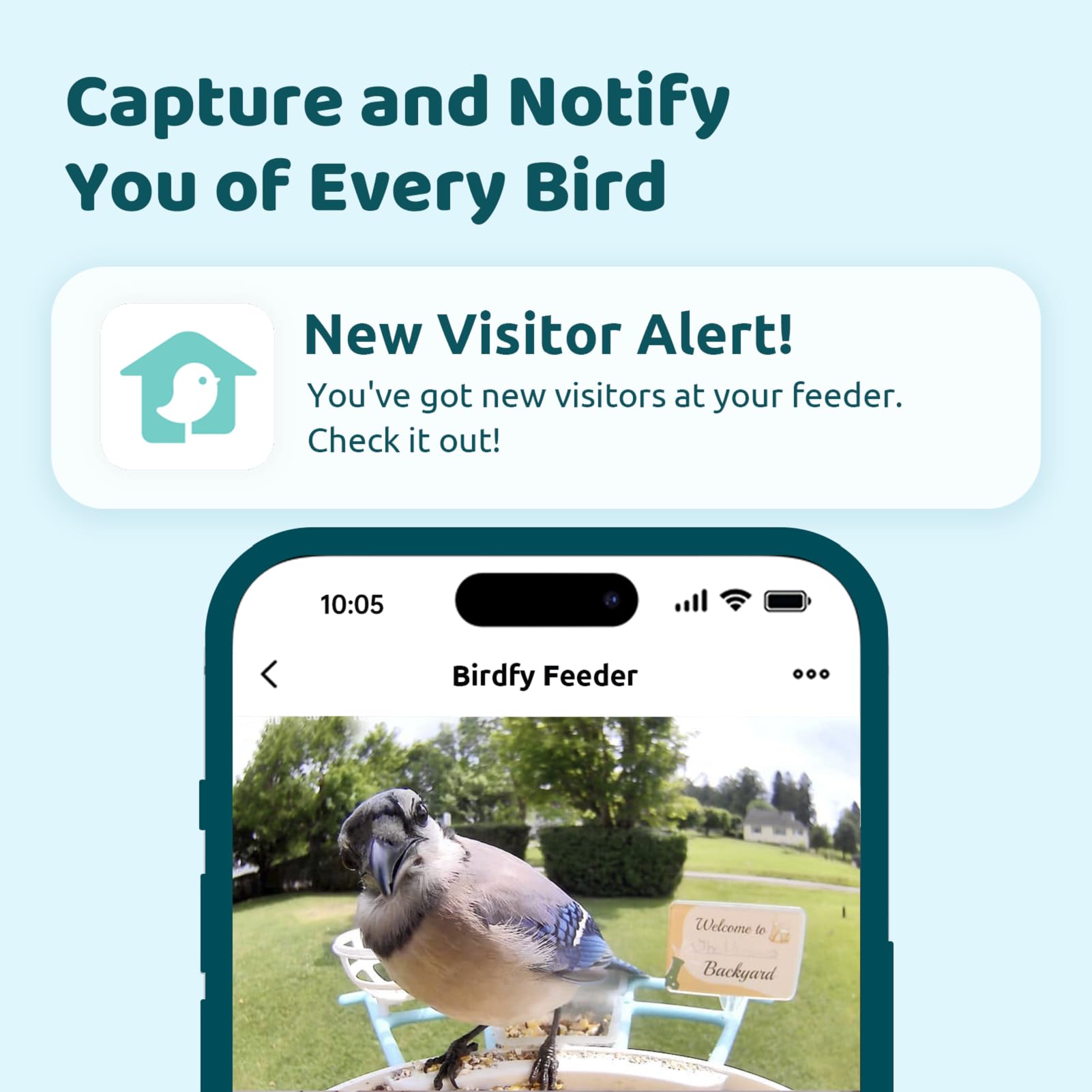NETVUE by Birdfy Smart Bird Feeder with AI Camera, Auto Capture Videos & Live Steam, Wireless Wildbird Watching, Outdoor Backyard Birder(AI by Subscription)