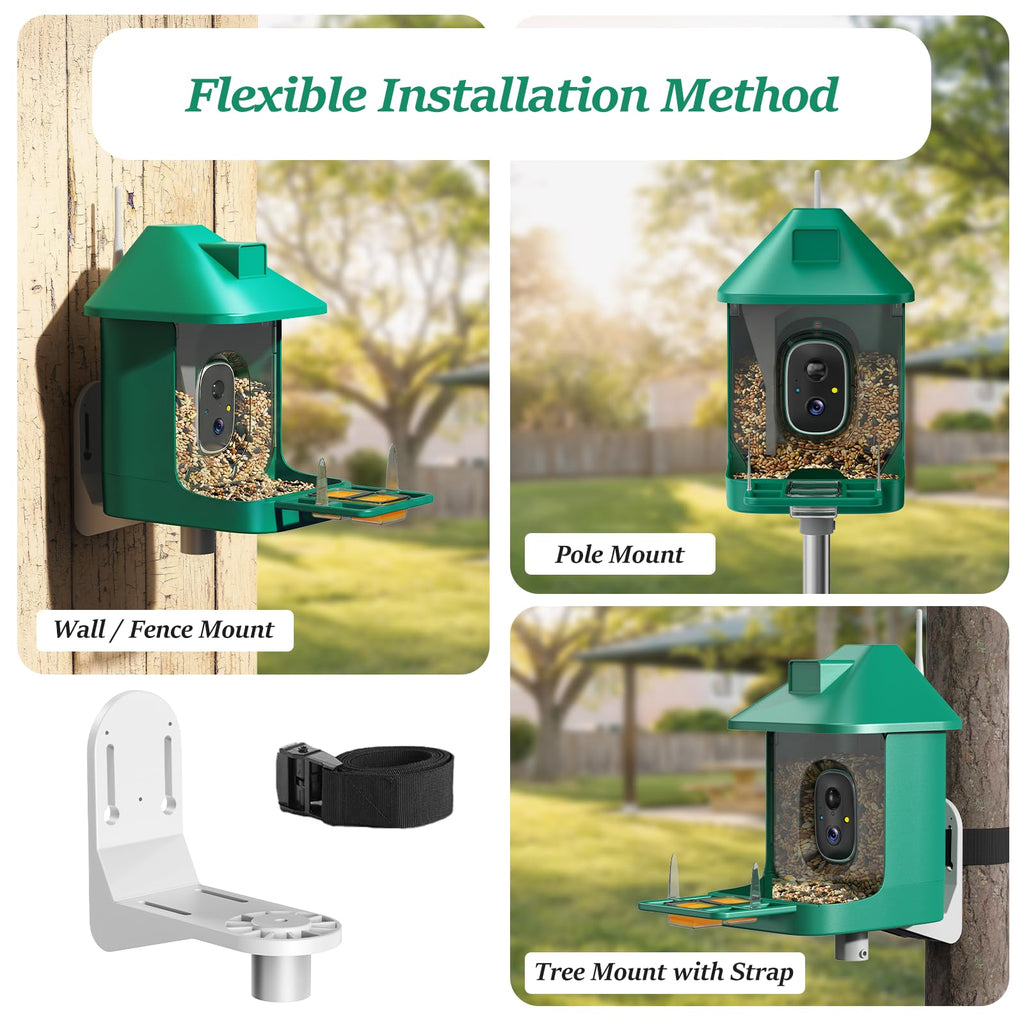 Bird Feeder with Camera