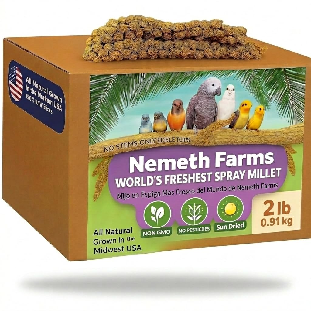 Nemeth Farms Spray Millet - Edible Tops Only, Non-GMO, Sun-Dried Natural Treat - Premium Millet Sprays for Parakeets, Budgies, Cockatiels, Lovebirds, Finches & Parrots