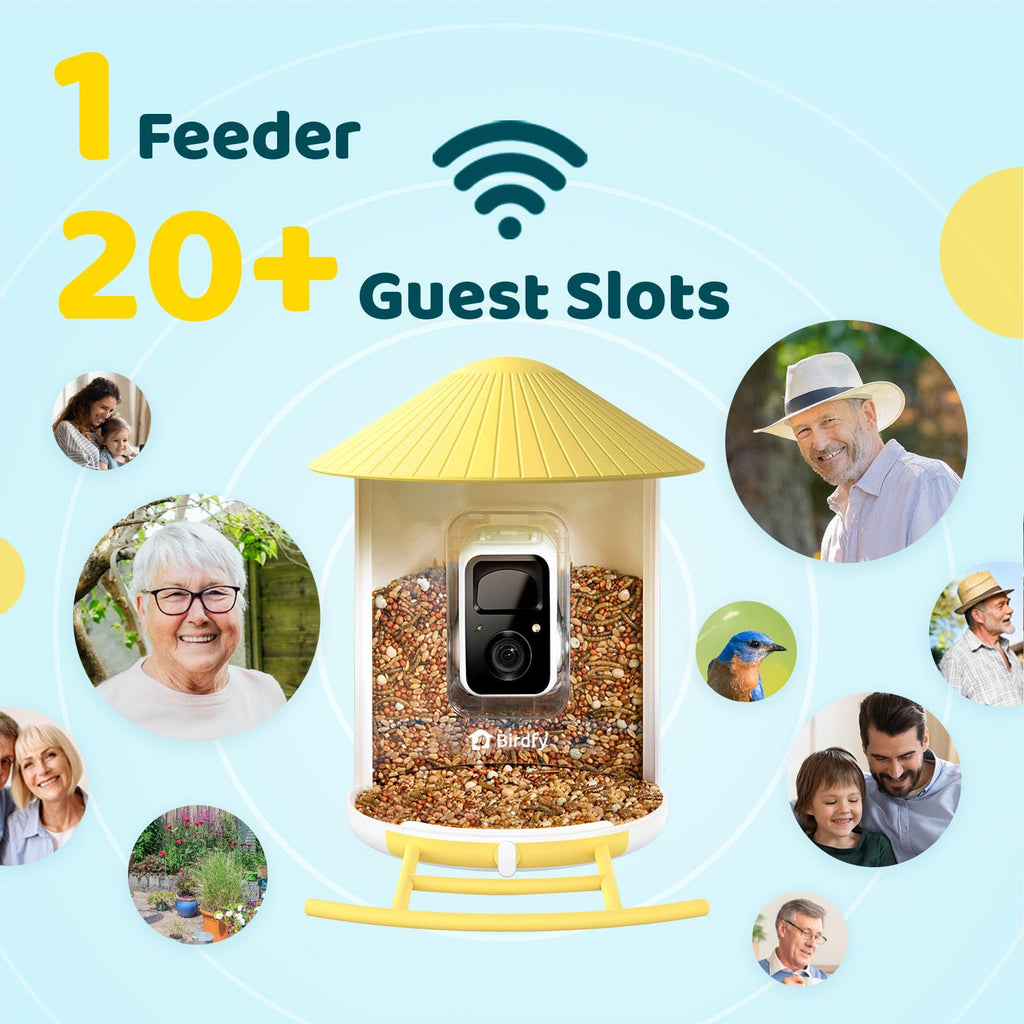NETVUE by Birdfy Smart Bird Feeder with AI Camera, Auto Capture Videos & Live Steam, Wireless Wildbird Watching, Outdoor Backyard Birder(AI by Subscription)