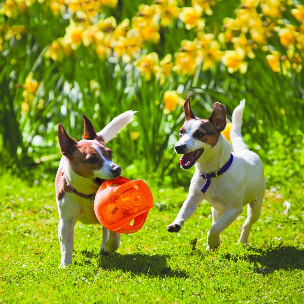 KONG Jumbler Ball - Interactive Dog Toy for Dog & Puppy Playtime - Fetch Toy with Tennis Ball - Dog Supplies for Engaging Play