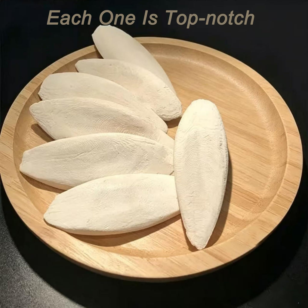 Clyairmao Bird Cuttlebone for Parakeets Cuttlebone for Birds - 100% Natural Cuttlefish Bone Bulk Chew Toy Bird Bites Calcium Stone for Canaries Tortoises,Snails,Reptiles,Parrots,Cockatiel