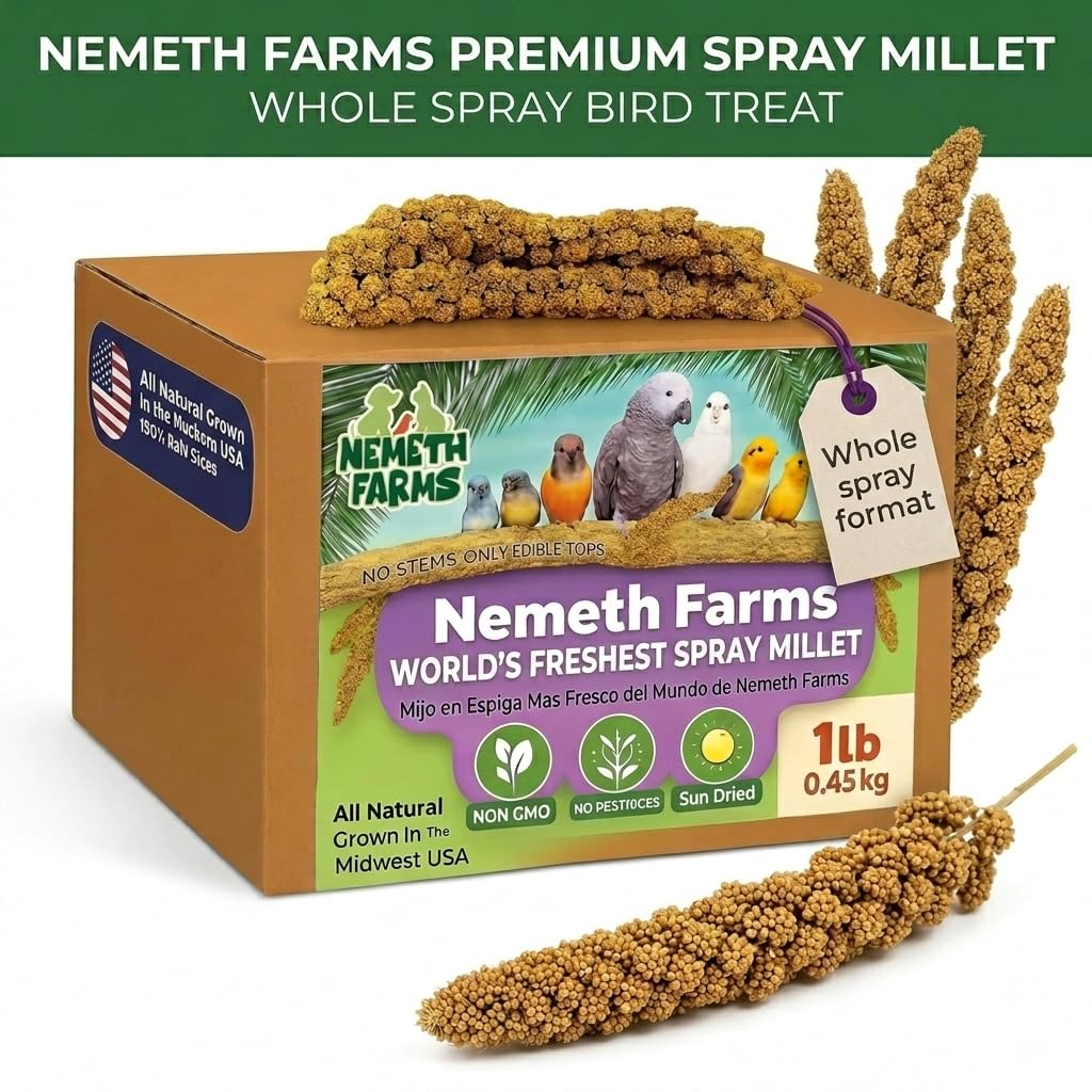 Nemeth Farms Spray Millet - Edible Tops Only, Non-GMO, Sun-Dried Natural Treat - Premium Millet Sprays for Parakeets, Budgies, Cockatiels, Lovebirds, Finches & Parrots