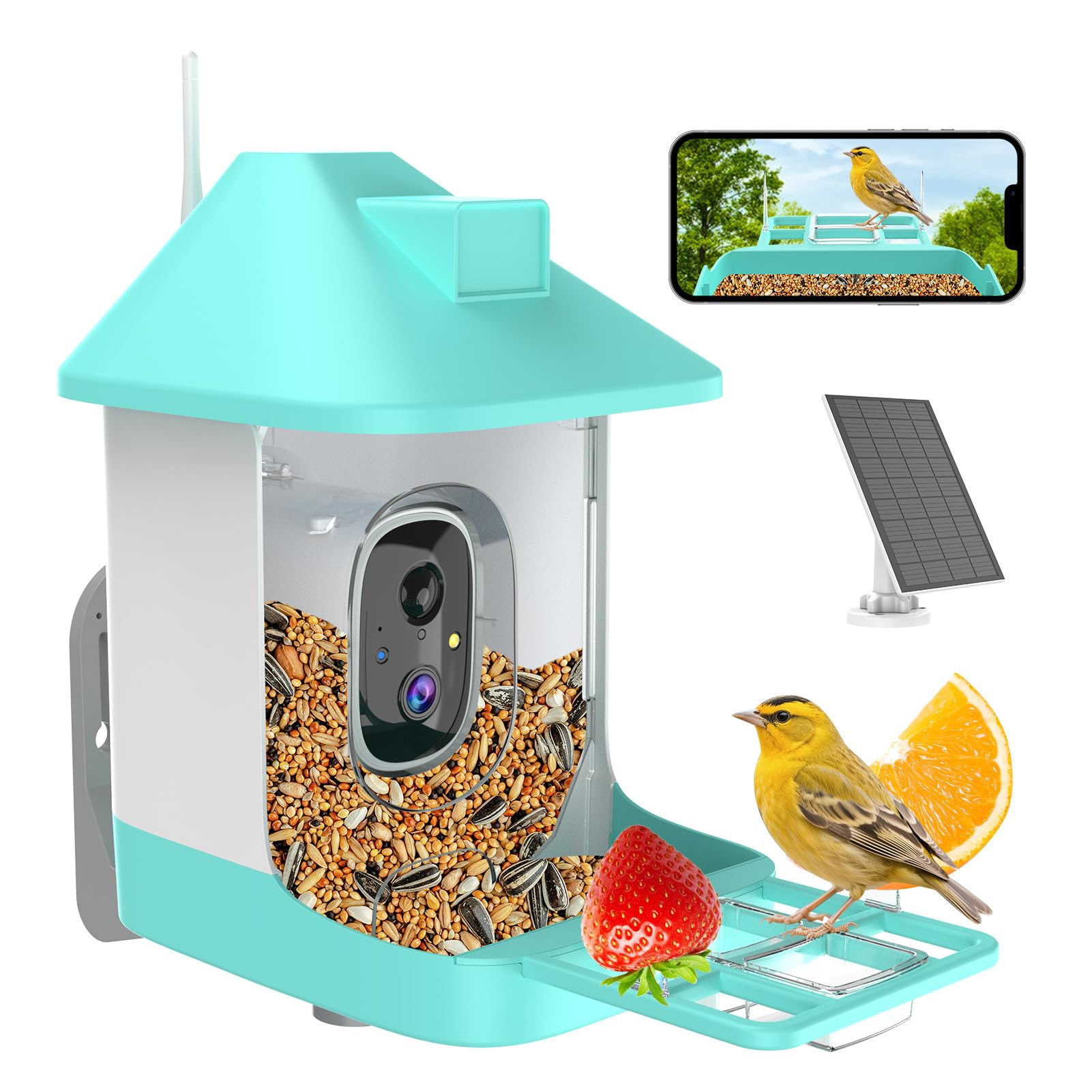 Bird Feeder with Camera