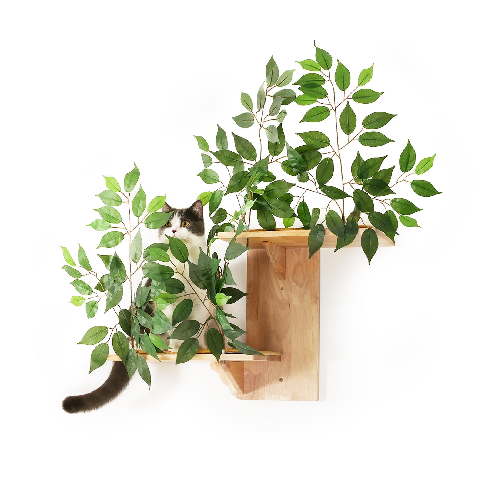 Meowoou Cat Wall Shelves with Leaves, 2 Platform Cat Wall Furniture, Cat Tree Shelves, Rubber Wood Wall Perch with Mat, Bridge for Climb, Nap, Play, Decor