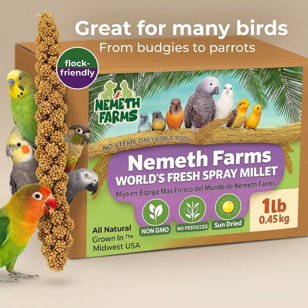Nemeth Farms Spray Millet - Edible Tops Only, Non-GMO, Sun-Dried Natural Treat - Premium Millet Sprays for Parakeets, Budgies, Cockatiels, Lovebirds, Finches & Parrots