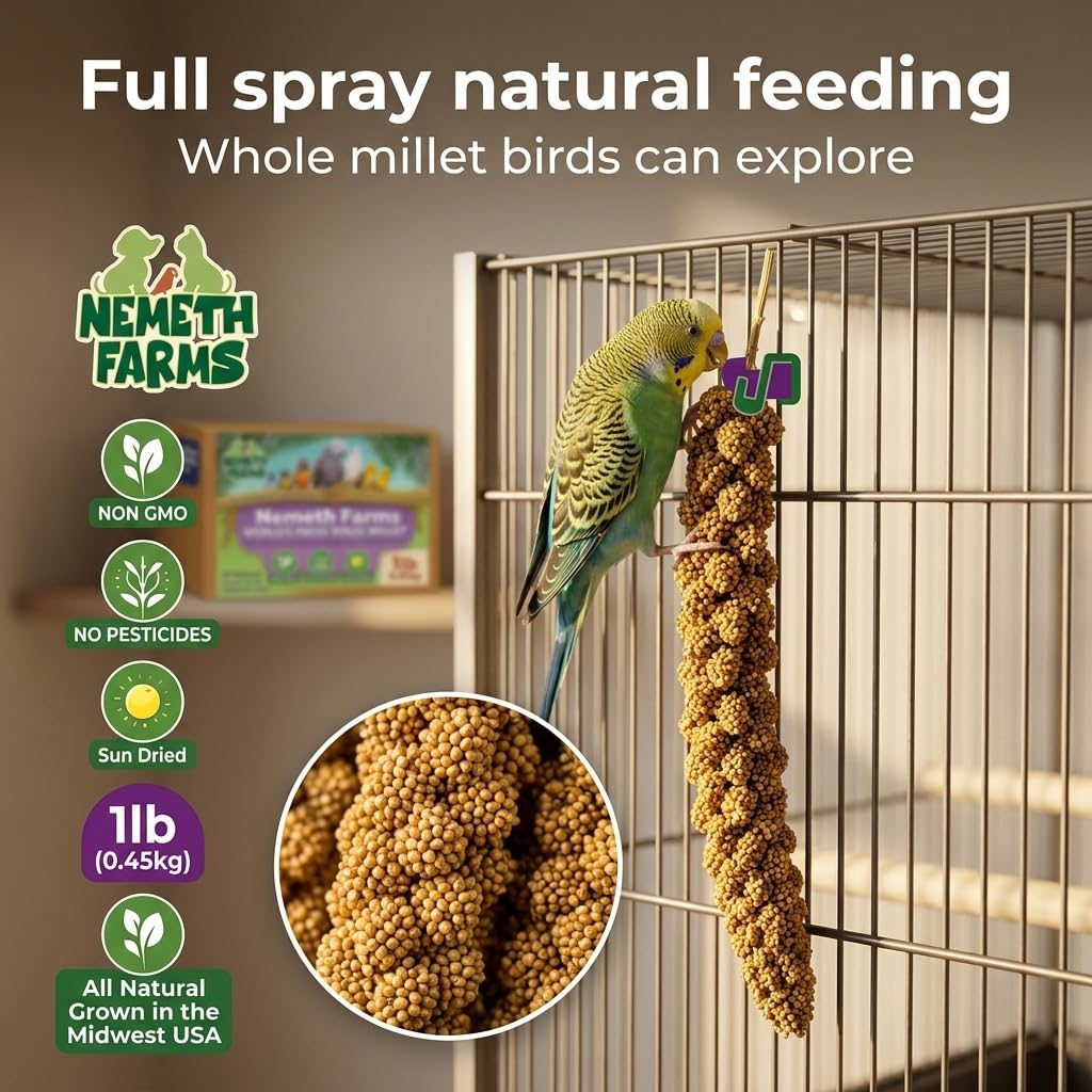 Nemeth Farms Spray Millet - Edible Tops Only, Non-GMO, Sun-Dried Natural Treat - Premium Millet Sprays for Parakeets, Budgies, Cockatiels, Lovebirds, Finches & Parrots