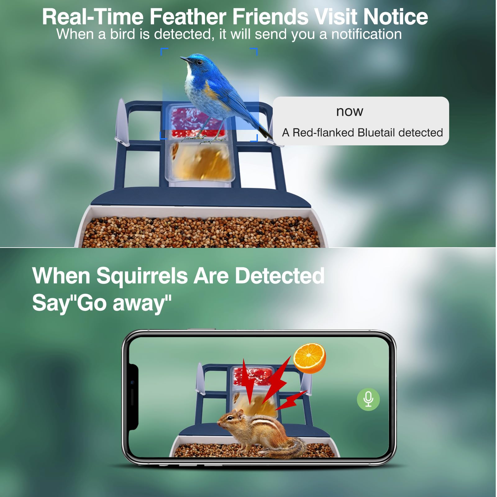 Smart Bird Feeder with Camera,AI Identify Species,Bird House with Solar Powered,Instant Arrival Alerts,2K Capture Video,Live View for Lover