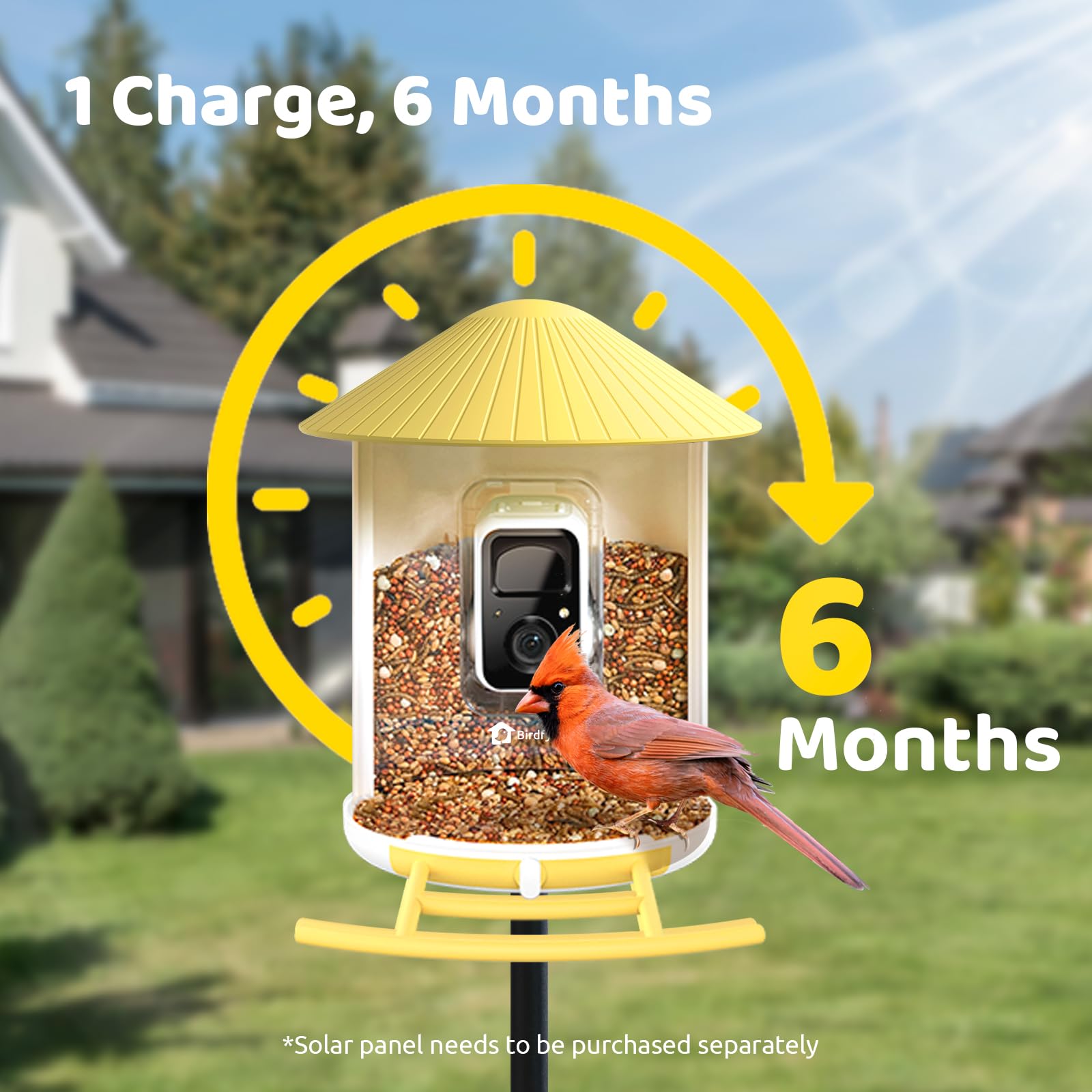 NETVUE by Birdfy Smart Bird Feeder with AI Camera, Auto Capture Videos & Live Steam, Wireless Wildbird Watching, Outdoor Backyard Birder(AI by Subscription)