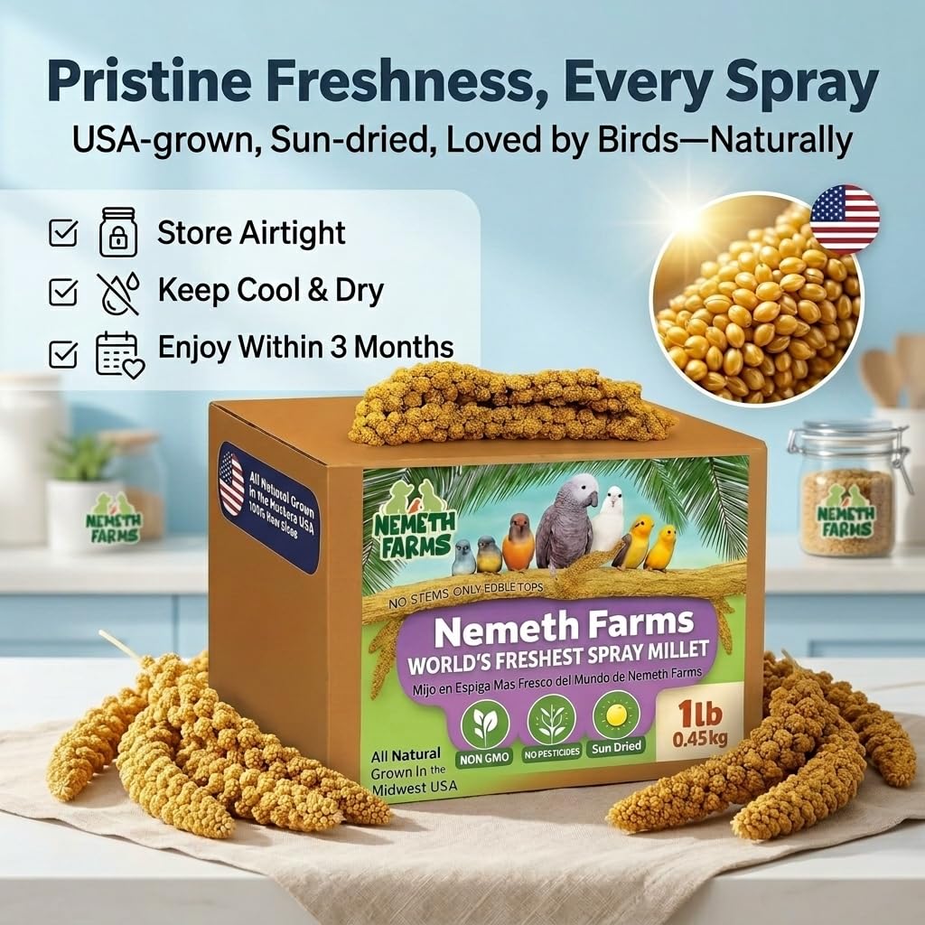 Nemeth Farms Spray Millet - Edible Tops Only, Non-GMO, Sun-Dried Natural Treat - Premium Millet Sprays for Parakeets, Budgies, Cockatiels, Lovebirds, Finches & Parrots