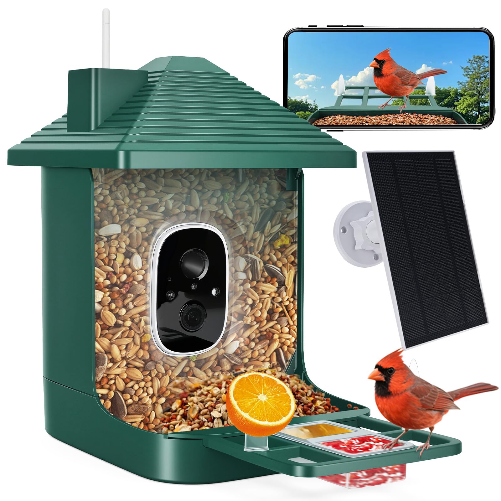 Smart Bird Feeder with Camera,AI Identify Species,Bird House with Solar Powered,Instant Arrival Alerts,2K Capture Video,Live View for Lover