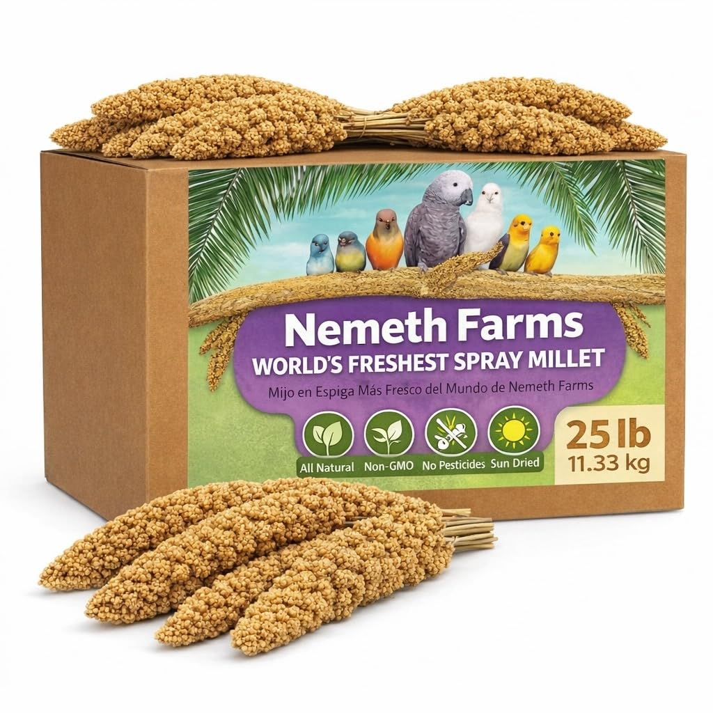 Nemeth Farms Spray Millet - Edible Tops Only, Non-GMO, Sun-Dried Natural Treat - Premium Millet Sprays for Parakeets, Budgies, Cockatiels, Lovebirds, Finches & Parrots