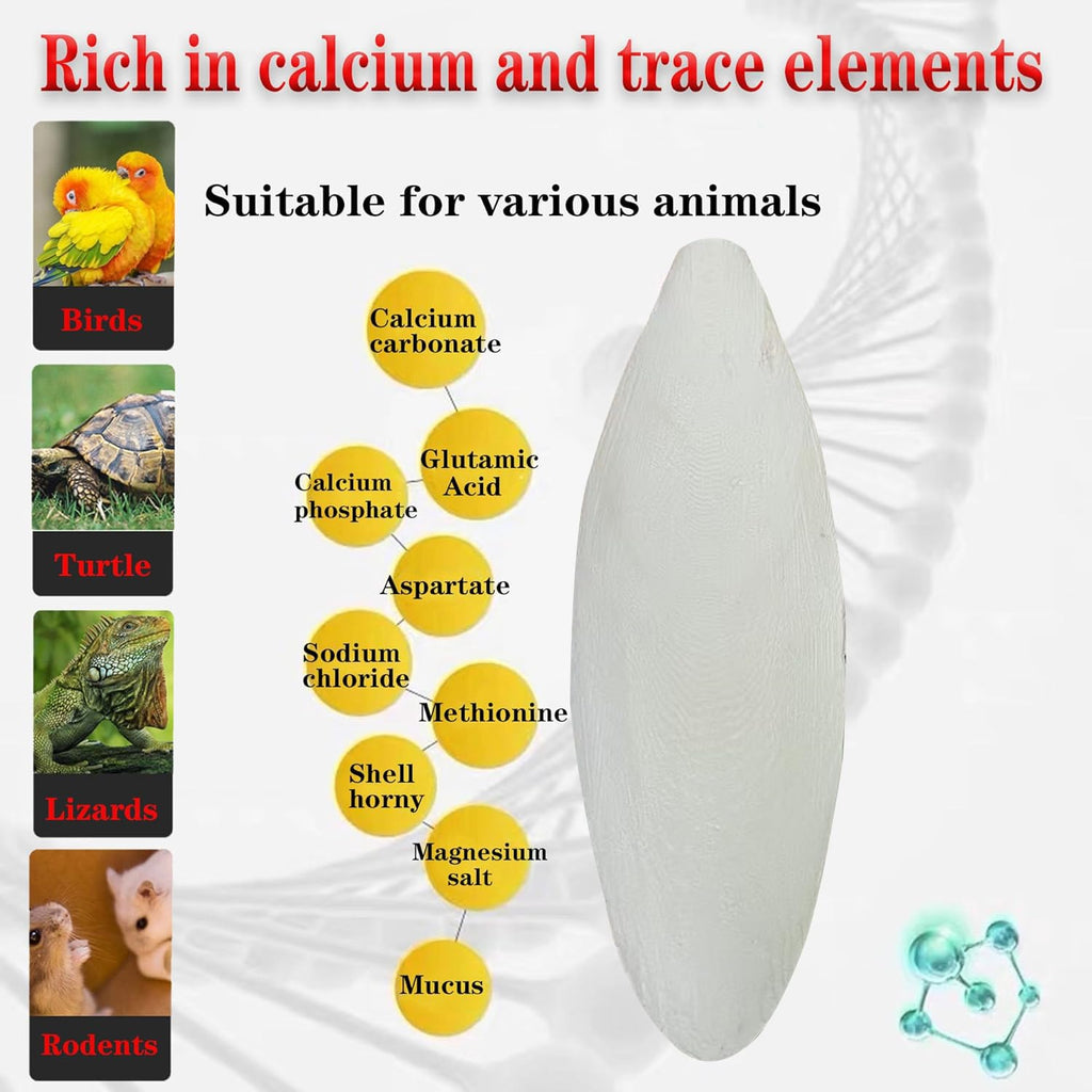 Clyairmao Bird Cuttlebone for Parakeets Cuttlebone for Birds - 100% Natural Cuttlefish Bone Bulk Chew Toy Bird Bites Calcium Stone for Canaries Tortoises,Snails,Reptiles,Parrots,Cockatiel