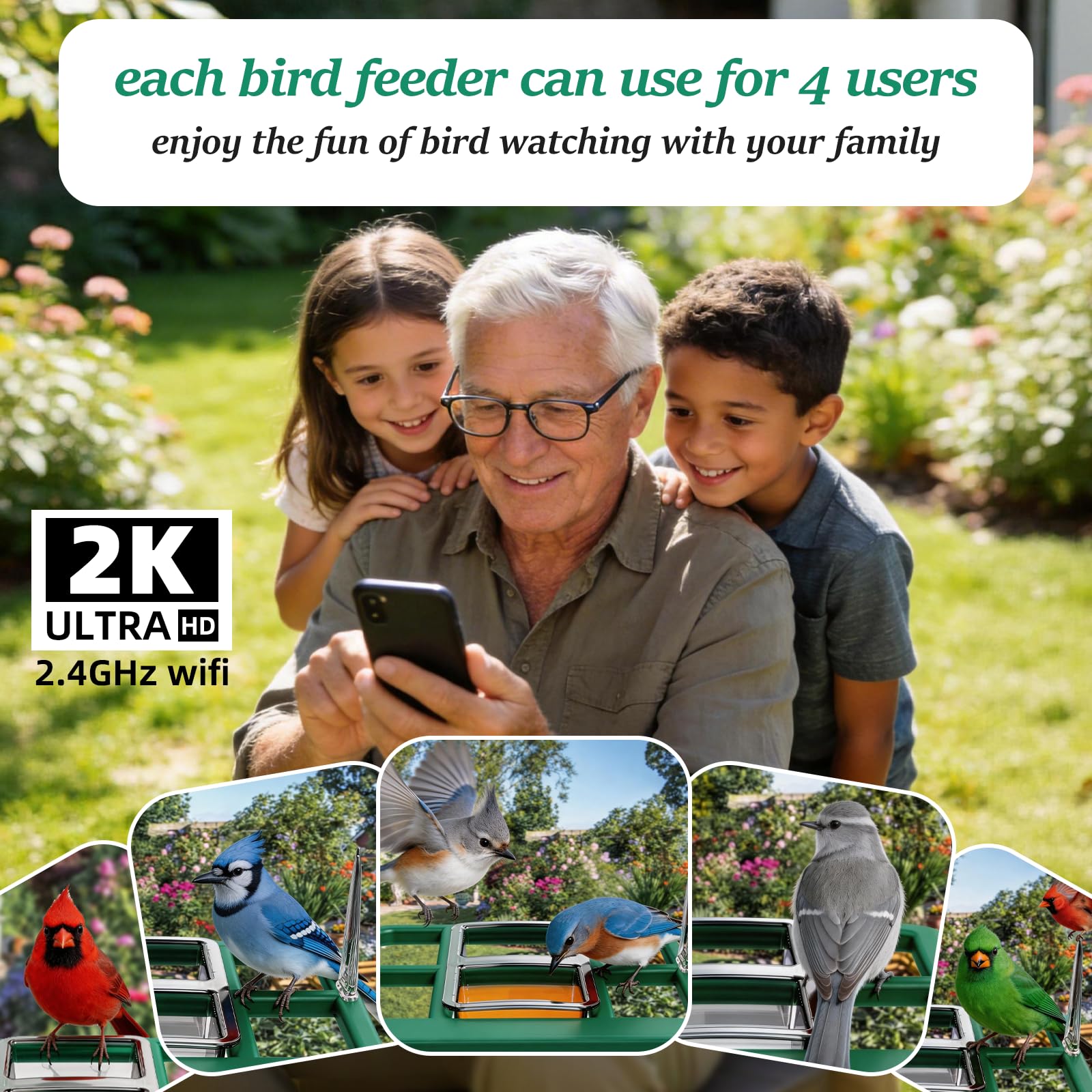 Bird Feeder with Camera