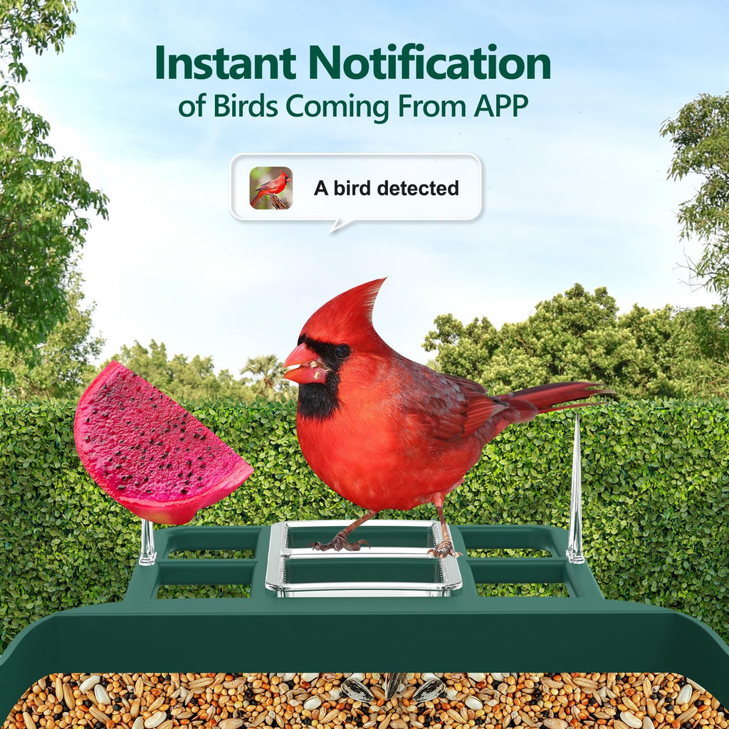 Bird Feeder with Camera