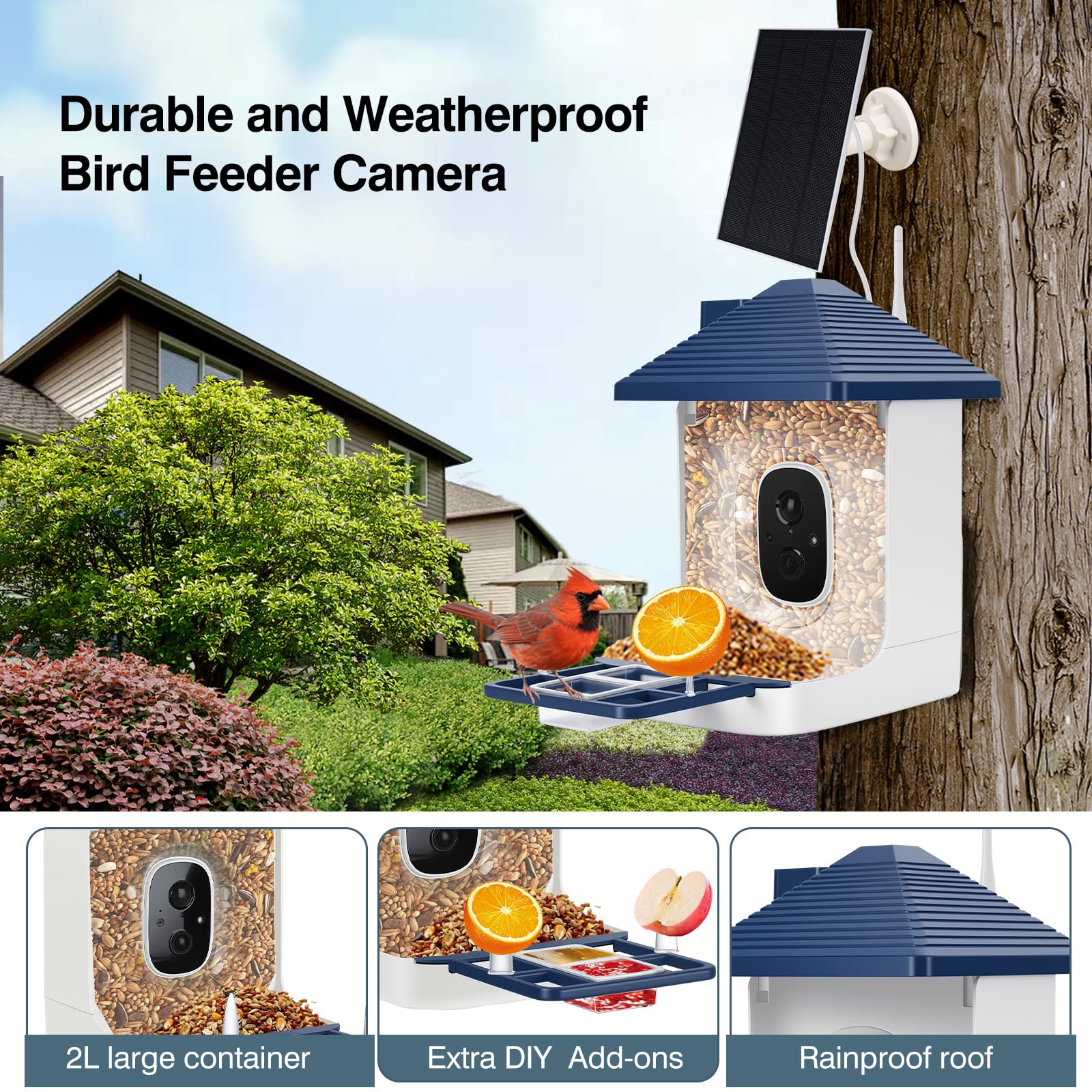 Smart Bird Feeder with Camera,AI Identify Species,Bird House with Solar Powered,Instant Arrival Alerts,2K Capture Video,Live View for Lover