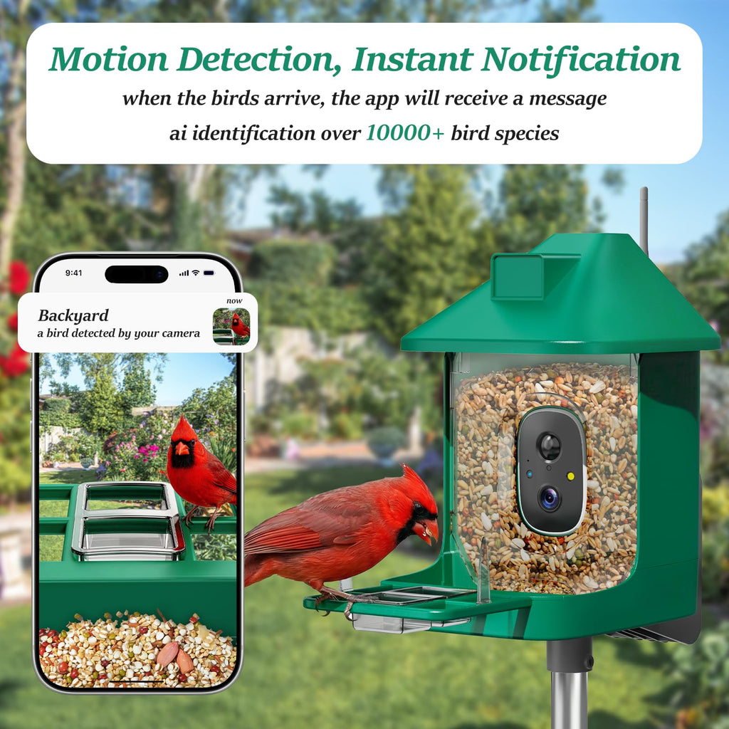 Bird Feeder with Camera