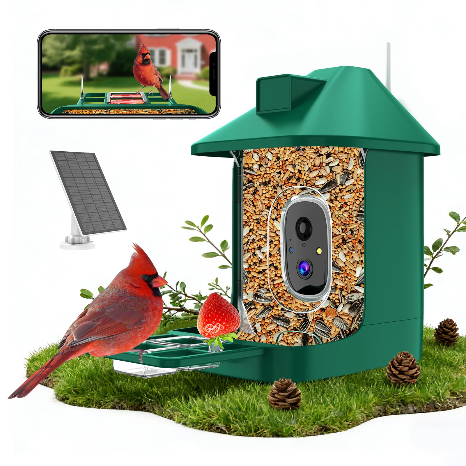 Bird Feeder with Camera