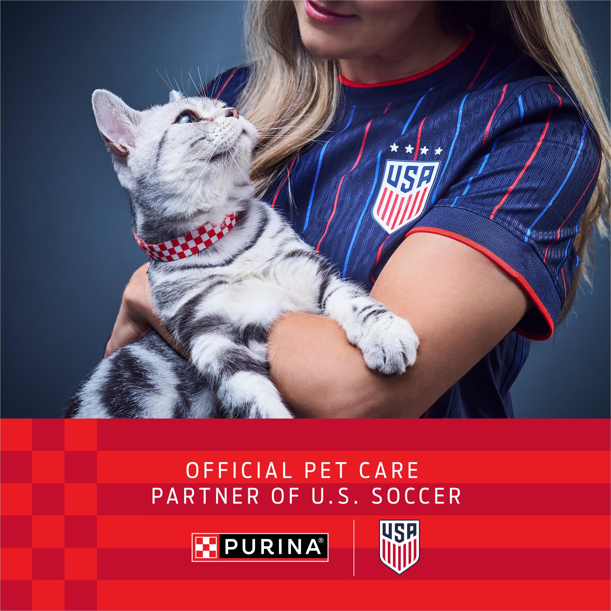 Purina Tidy Cats Unscented Cat Litter, Free & Clean Clumping Clay Cat Litter